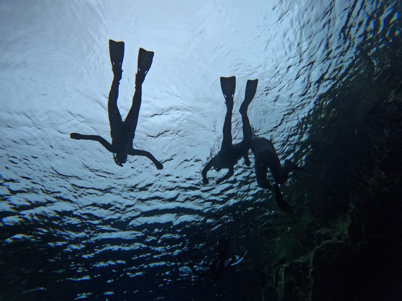 Freedivers silhouetted against the surface while diving down into Silfra