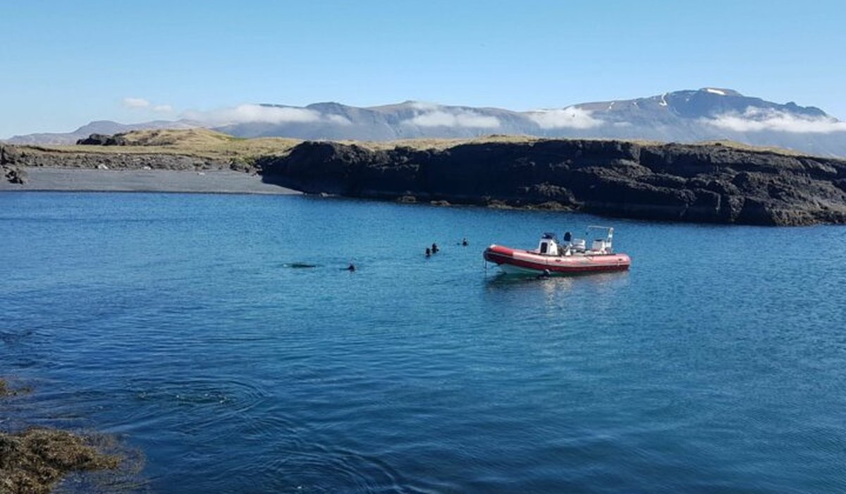 Gullkistuvík