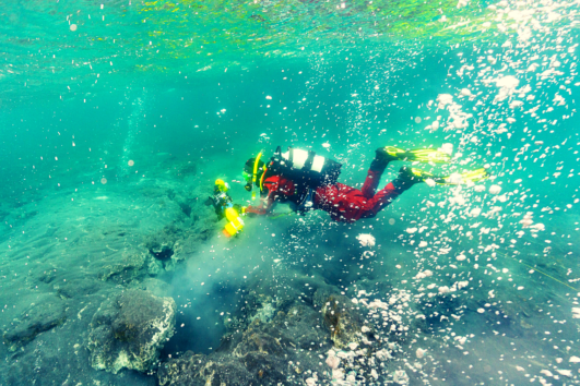 Hot spring diving tour