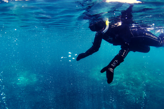 Hot spring snorkel tour