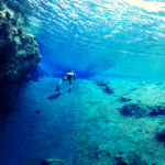 Silfra Freedive and Fontana Geothermal Baths Tour