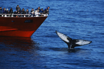 Untitled design 2022 02 23T094512.466