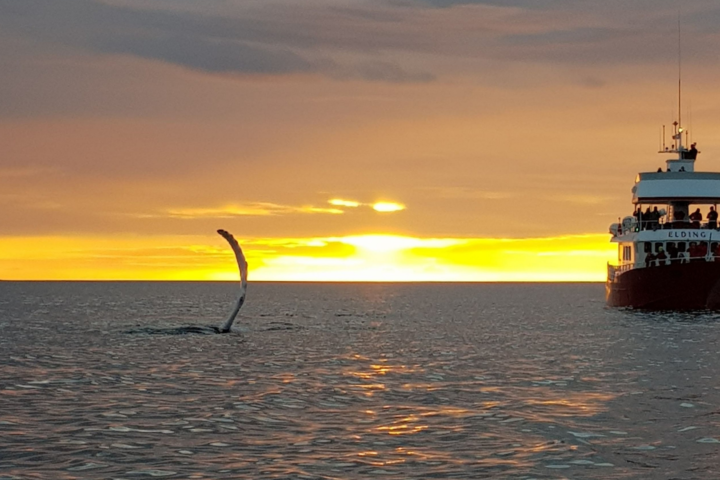 Untitled design 2022 02 23T095728.286