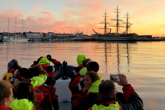 Reykjavik Premium Whale Watching in the Midnight Sun - Elding