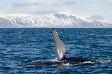 Untitled design 2022 02 23T111755.844