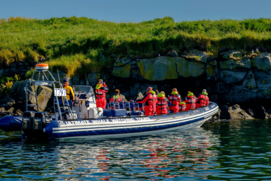 Reykjavik Premium Puffin Watching - Elding