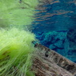 Birgir Skulason GOPR2314