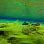 Birgir Skulason GOPR2348