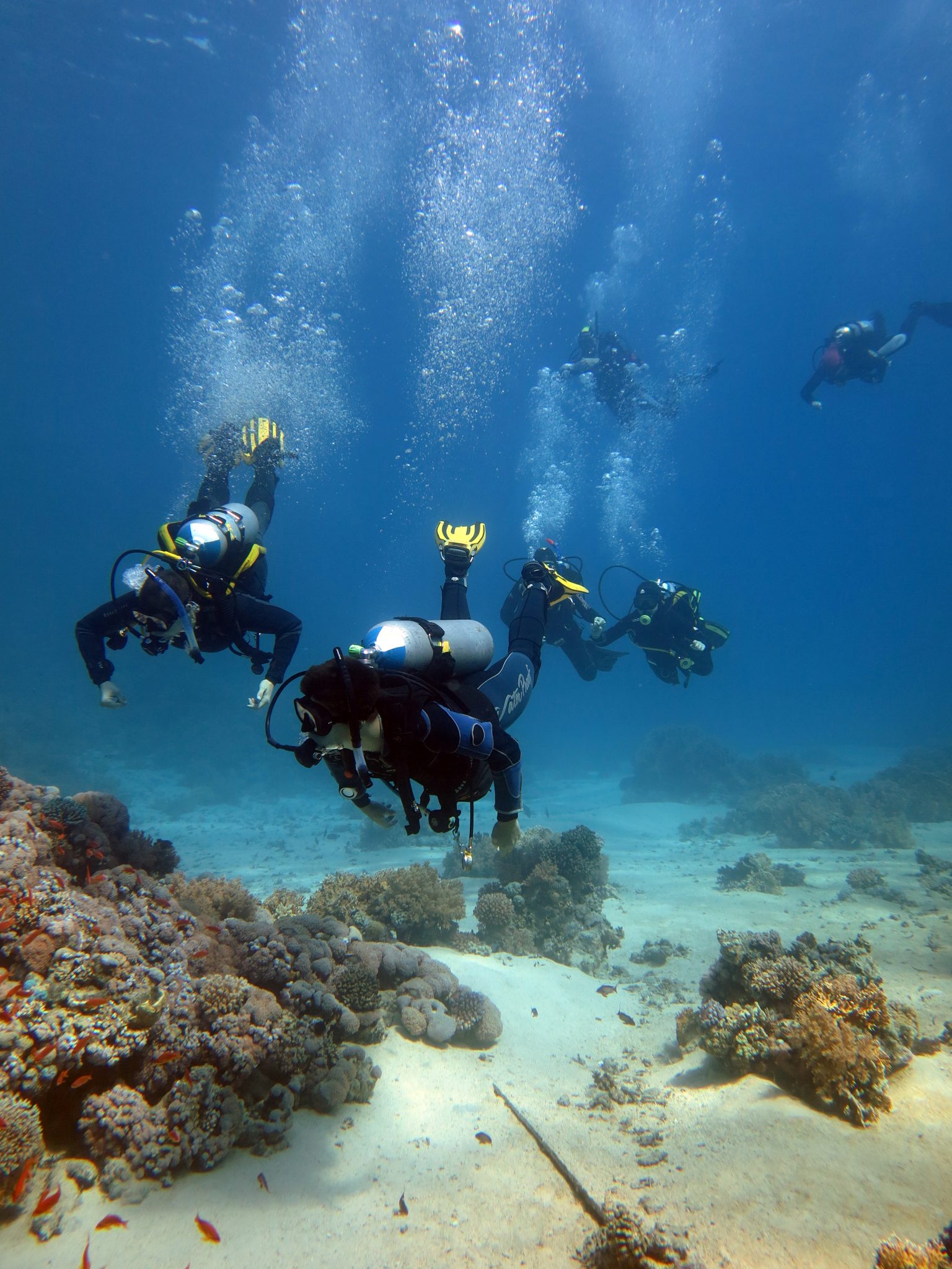 Scuba Diving Tours