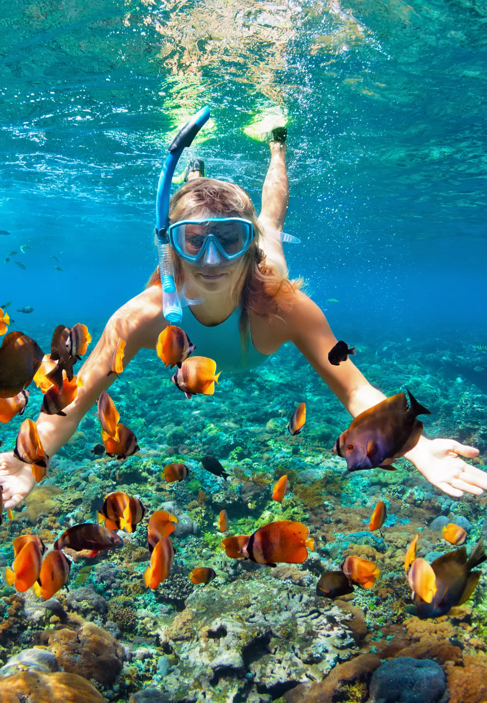 Snorkel Tours